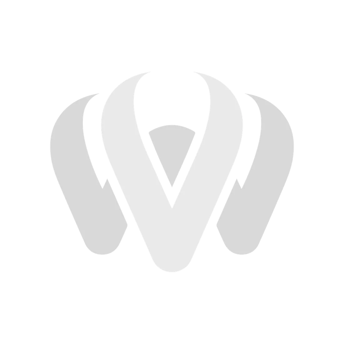 ViaWarrior